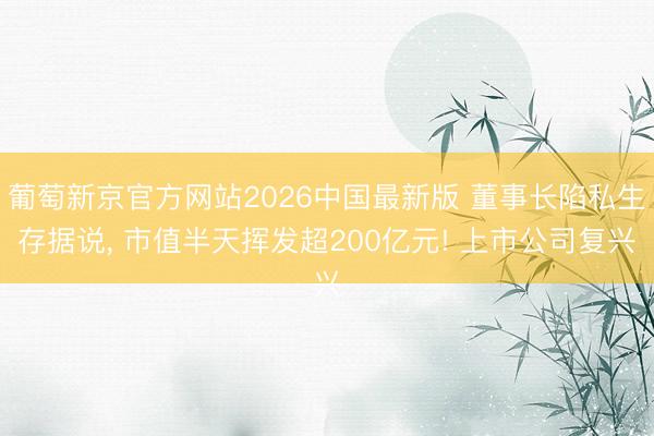 葡萄新京官方网站2026中国最新版 董事长陷私生存据说， 市值半天挥发超200亿元! 上市公司复兴