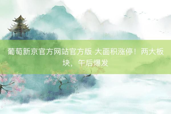 葡萄新京官方网站官方版 大面积涨停！两大板块，午后爆发