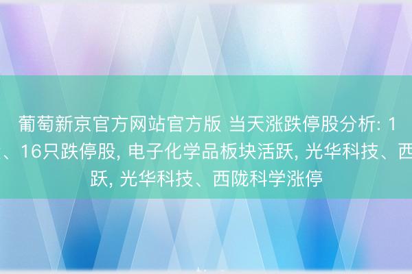 葡萄新京官方网站官方版 当天涨跌停股分析: 142只涨停股、16只跌停股, 电子化学品板块活跃, 光华科技、西陇科学涨停