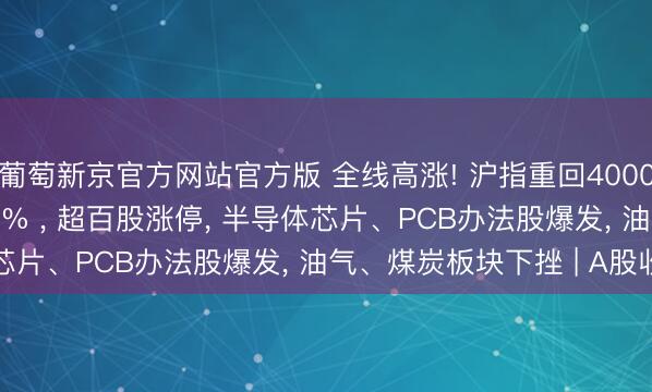 葡萄新京官方网站官方版 全线高涨! 沪指重回4000点， 科创50大涨4.17% ， 超百股涨停， 半导体芯片、PCB办法股爆发， 油气、煤炭板块下挫 | A股收盘