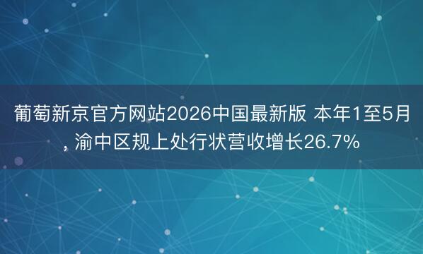 葡萄新京官方网站2026中国最新版 本年1至5月， 渝中区规上处行状营收增长26.7%