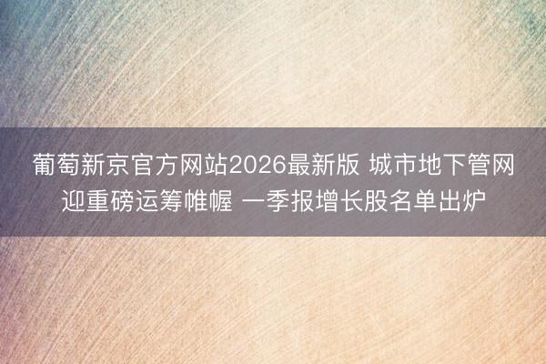 葡萄新京官方网站2026最新版 城市地下管网迎重磅运筹帷幄 一季报增长股名单出炉