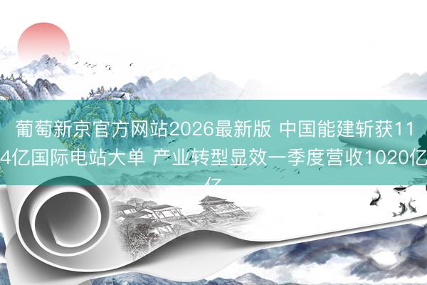 葡萄新京官方网站2026最新版 中国能建斩获114亿国际电站大单 产业转型显效一季度营收1020亿