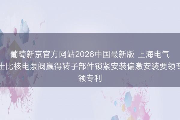 葡萄新京官方网站2026中国最新版 上海电气凯士比核电泵阀赢得转子部件锁紧安装偏激安装要领专利