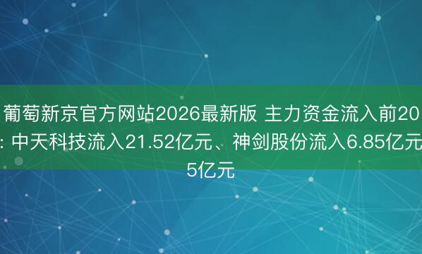葡萄新京官方网站2026最新版 主力资金流入前20: 中天科技流入21.52亿元、神剑股份流入6.85亿元