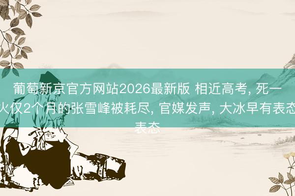 葡萄新京官方网站2026最新版 相近高考, 死一火仅2个月的张雪峰被耗尽, 官媒发声, 大冰早有表态