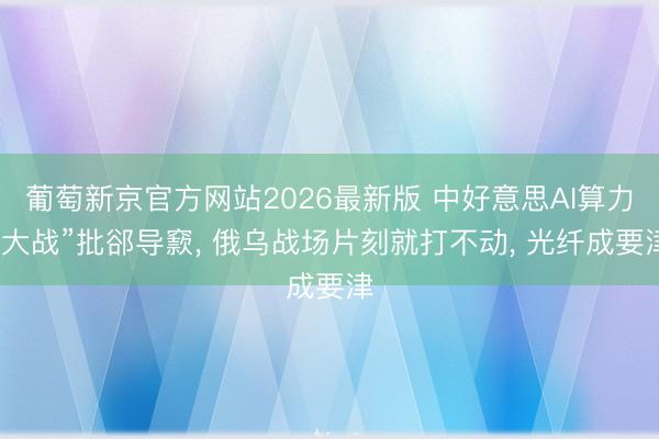 葡萄新京官方网站2026最新版 中好意思AI算力“大战”批郤导窾, 俄乌战场片刻就打不动, 光纤成要津