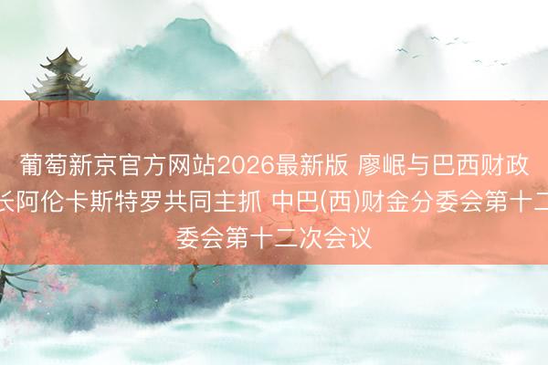 葡萄新京官方网站2026最新版 廖岷与巴西财政部副部长阿伦卡斯特罗共同主抓 中巴(西)财金分委会第十二次会议