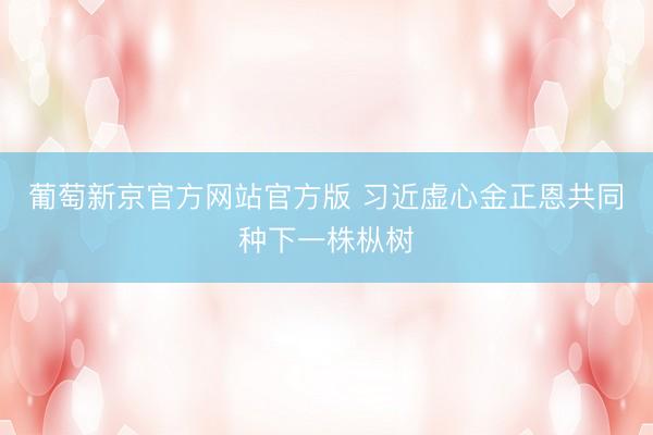 葡萄新京官方网站官方版 习近虚心金正恩共同种下一株枞树