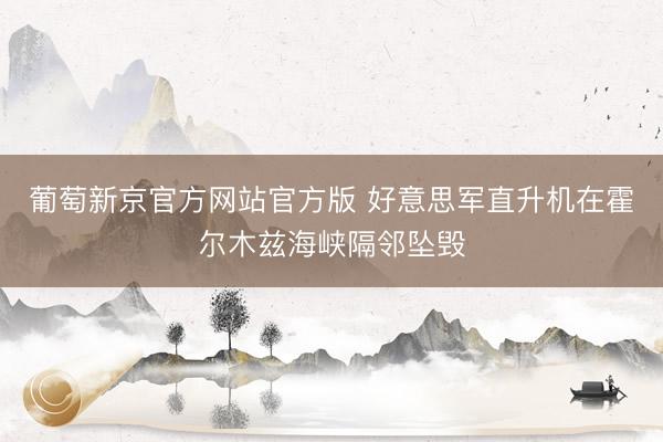 葡萄新京官方网站官方版 好意思军直升机在霍尔木兹海峡隔邻坠毁