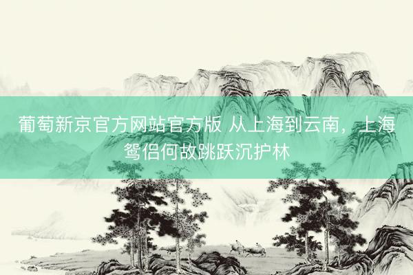 葡萄新京官方网站官方版 从上海到云南，上海鸳侣何故跳跃沉护林
