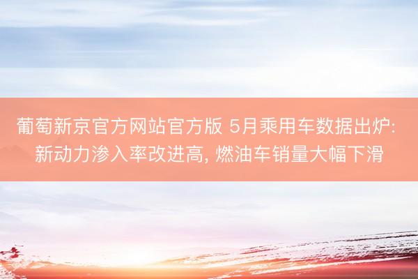 葡萄新京官方网站官方版 5月乘用车数据出炉: 新动力渗入率改进高， 燃油车销量大幅下滑