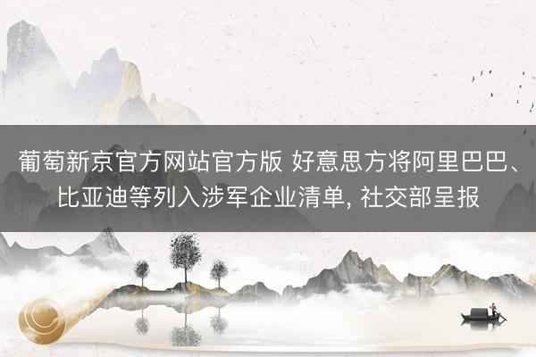 葡萄新京官方网站官方版 好意思方将阿里巴巴、比亚迪等列入涉军企业清单, 社交部呈报