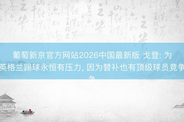 葡萄新京官方网站2026中国最新版 戈登: 为英格兰踢球永恒有压力， 因为替补也有顶级球员竞争
