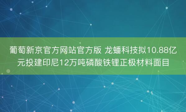 葡萄新京官方网站官方版 龙蟠科技拟10.88亿元投建印尼12万吨磷酸铁锂正极材料面目