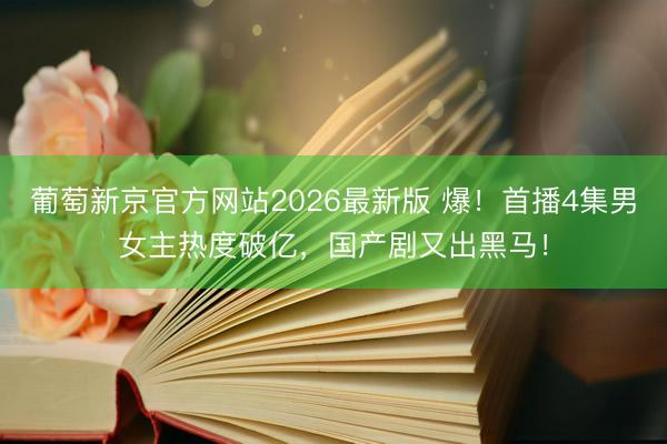 葡萄新京官方网站2026最新版 爆！首播4集男女主热度破亿，国产剧又出黑马！