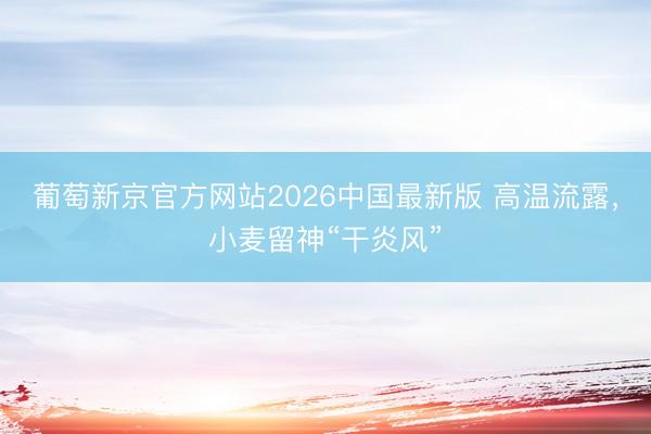 葡萄新京官方网站2026中国最新版 高温流露,小麦留神“干炎风”