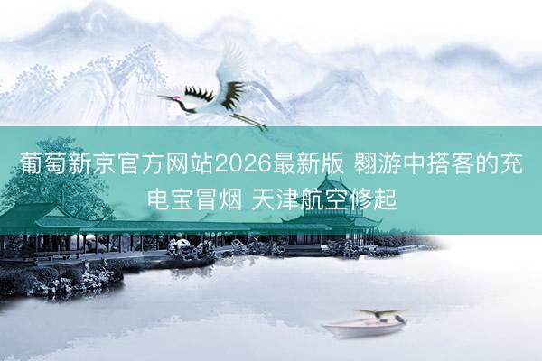 葡萄新京官方网站2026最新版 翱游中搭客的充电宝冒烟 天津航空修起
