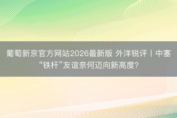 葡萄新京官方网站2026最新版 外洋锐评丨中塞“铁杆”友谊奈何迈向新高度？
