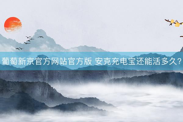葡萄新京官方网站官方版 安克充电宝还能活多久?